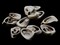 12 23mm to 30mm Spiral Sliced Natural Shell Pendant Beads